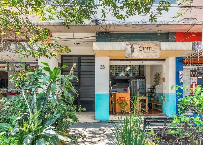 Apartment 1br Roma Norte Wi-fi Mexico City